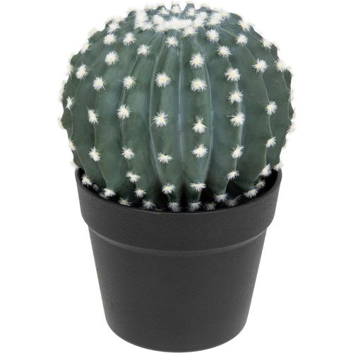 Cactus Rond Pot Plastique RAN H25 - 3S. x Home - Modalova