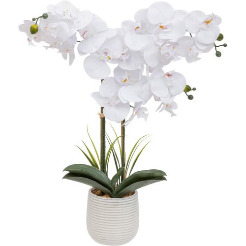 Orchidée artificielle Blanche Riva - 3S. x Home - Modalova