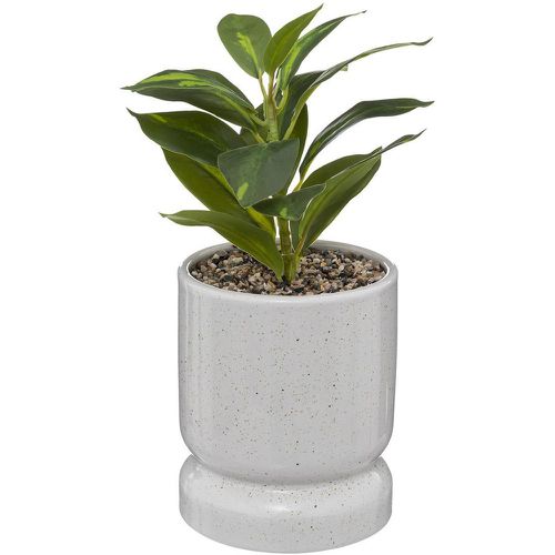 Plante avec pot en céramique Reactive H30cm - 3S. x Home - Modalova