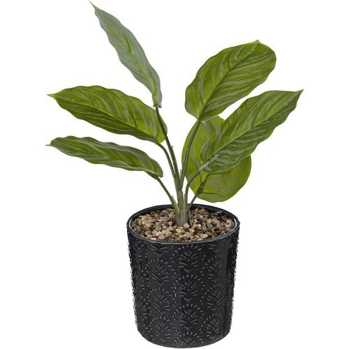 Plante en pot Night en céramique H35cm gris - 3S. x Home - Modalova