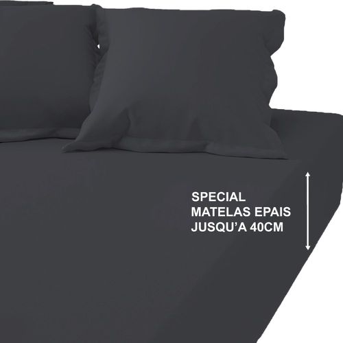 Drap-housse grand bonnet XL percale de coton Gris foncé TERTIO® - 3S. x Tertio (Nos Unis) - Modalova