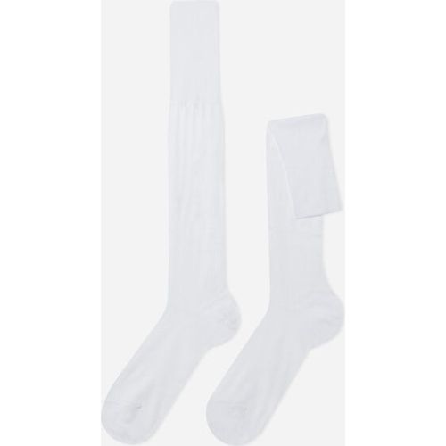 Chaussettes longues en fil d’Écosse Taille 40-41 - Calzedonia - Modalova