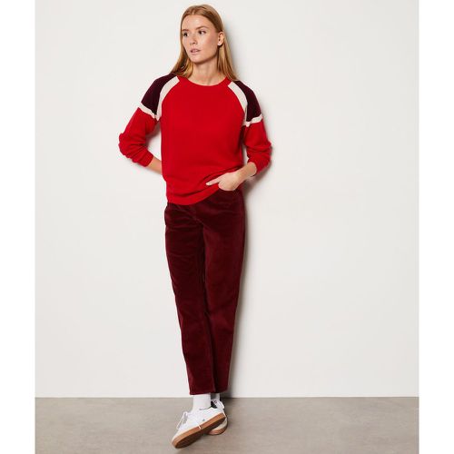 Pantalon côtelé en coton coupe droite - Enory - 34 - Etam - Modalova