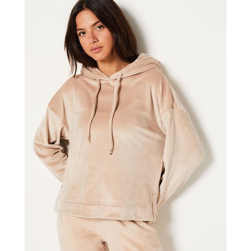 Sweat de pyjama à capuche en velours - Pekan - XS - Etam - Modalova