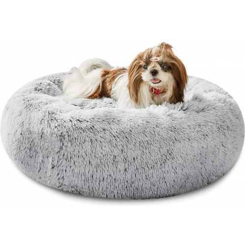 County" Lit pour chien 100 x 100 x 20 cm - SPOCADO - Modalova
