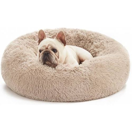 County" Lit pour chien 70 x 70 x 20 cm beige - SPOCADO - Modalova