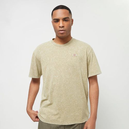 Newington Tee Shortsleeve, , T-Shirts & Polos, en , taille: S - Dickies - Modalova