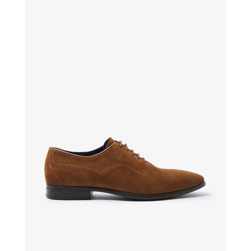 Chaussures Richelieux cuir velours DALINO - SAN MARINA - Modalova