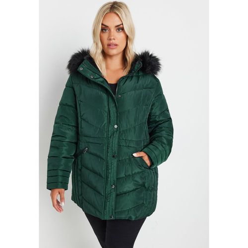 Curve Forest Green Padded Coat, Grande Taille & Courbes - Yours - Modalova