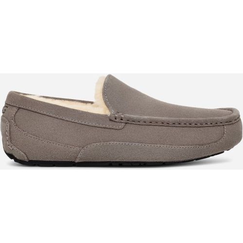Chausson Ascot in , Taille 40, Cuir - Ugg - Modalova