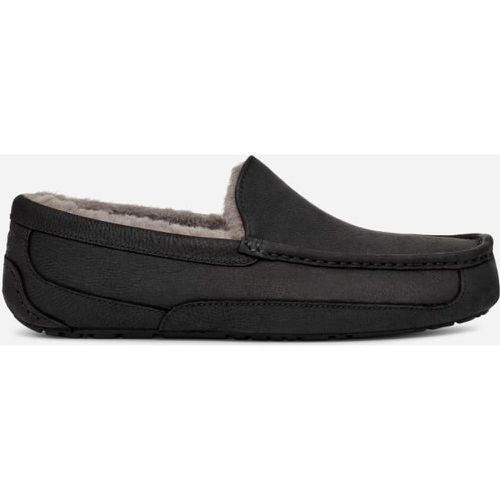 Chausson Ascot | UE in , Taille 40, Cuir - Ugg - Modalova
