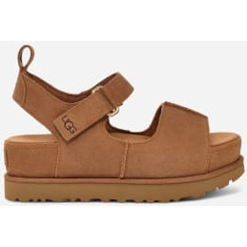 Goldenstar Hi in Brown, Taille 38, Daim - Ugg - Modalova