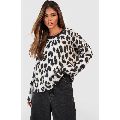 Pull À Imprimé Léopard - Xs - boohoo - Modalova
