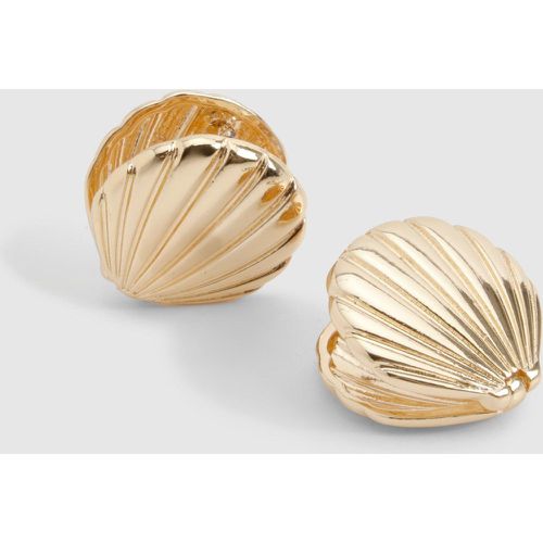Shell Stud Earrings - boohoo - Modalova