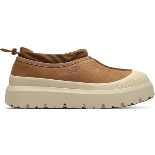 Tasman - Bottines, Marron - Taille 40 - Maille/synthétique - Ugg - Modalova