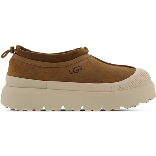 Tasman Weather Hybrid - Bottines - Ugg - Modalova