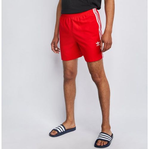 Adicolor 3 Stripe Swimshort - Maillots De Bain - Adidas - Modalova