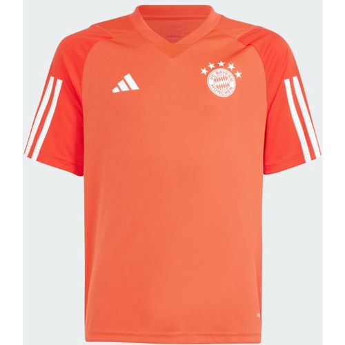 Fc Bayern Tiro 23 - Primaire-college Jerseys/replicas - Adidas - Modalova