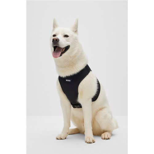 Harnais ajustable pour chien à rayures emblématiques - Boss - Modalova