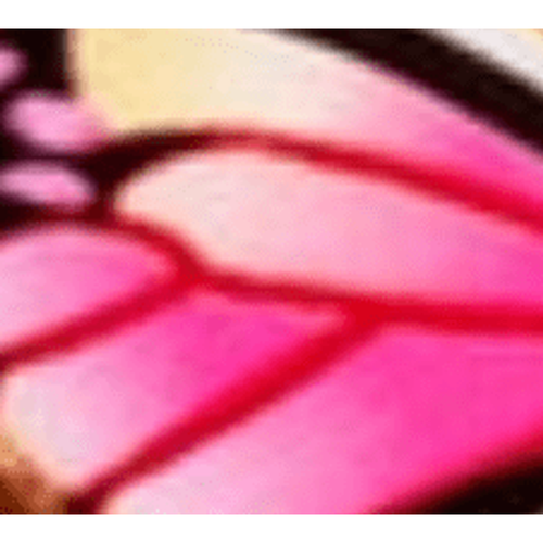 Paire Créoles design papillon - SHEIN - Modalova