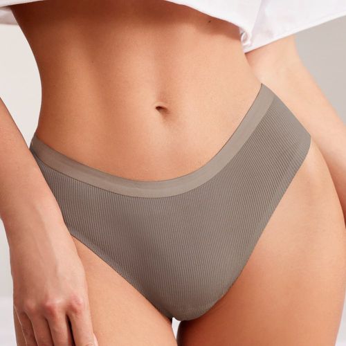 Tanga sans couture unicolore côtelé - SHEIN - Modalova