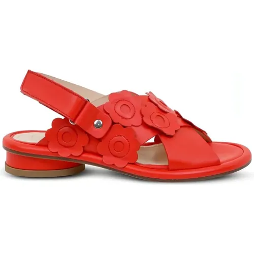 Shoes > Sandals > Flat Sandals - - AGL - Modalova