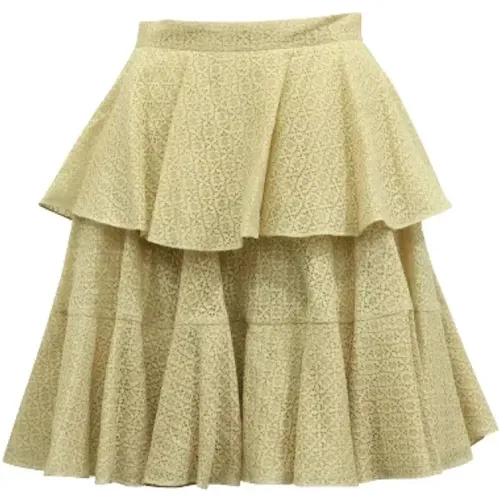 Pre-owned > Pre-owned Skirts - - Alexander McQueen Pre-owned - Modalova