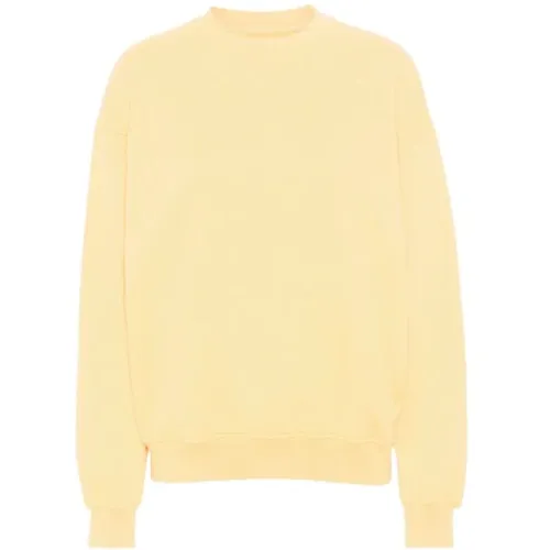 Sweatshirts & Hoodies > Sweatshirts - - Colorful Standard - Modalova
