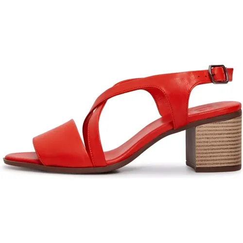 Shoes > Sandals > Flat Sandals - - Cesare Gaspari - Modalova