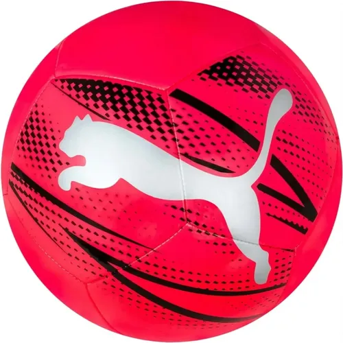 Sport > Sports > Team Sports > Sport Accessories - - Puma - Modalova