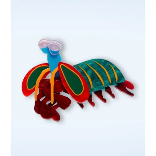 Broche Peacock Mantis Shrimp - erstwilder - Modalova