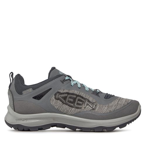 Chaussures de trekking Keen Terradora Flex Wp 1026883 Steel Grey/Cloud Blue - Chaussures.fr - Modalova