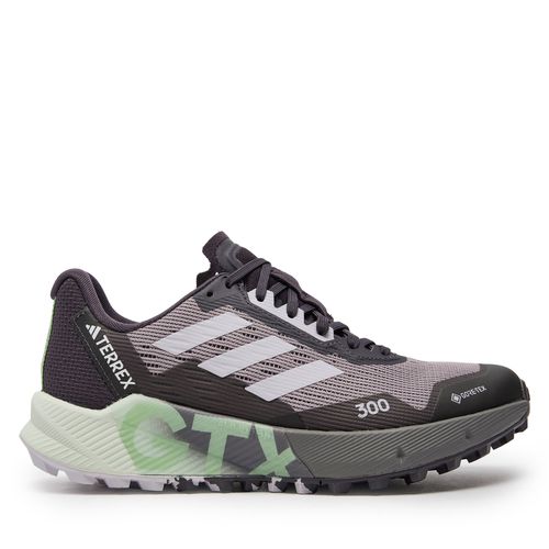 Chaussures adidas Terrex Agravic Flow 2.0 GORE-TEX Trail Running ID2501 Prlofi/Sildaw/Segrsp - Chaussures.fr - Modalova