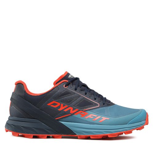 Chaussures de running Dynafit Alpine M 8071 Bleu - Chaussures.fr - Modalova