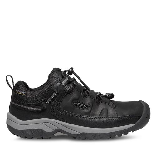 Chaussures de trekking Keen Targhee Low Wp 1027399-1 Black/Steel Grey - Chaussures.fr - Modalova