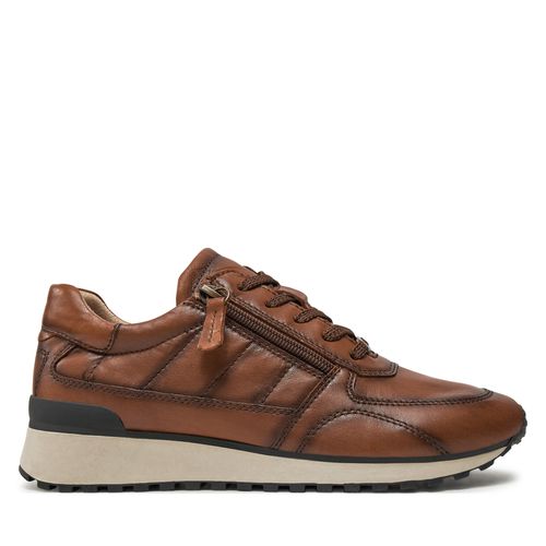 Sneakers Caprice 9-23701-41 Marron - Chaussures.fr - Modalova