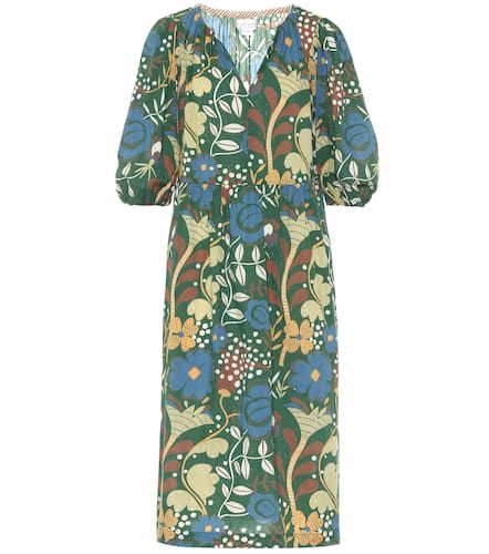 Robe Virginia en coton à fleurs - Velvet - Modalova