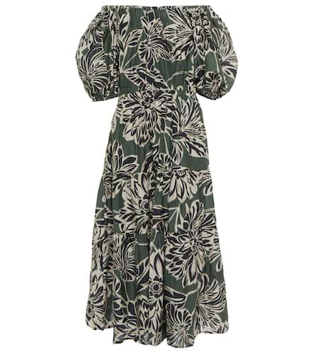 Robe midi Raya en coton et soie à fleurs - Velvet - Modalova