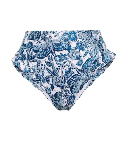 Culotte de bikini Jengibre imprimée - Agua by Agua Bendita - Modalova