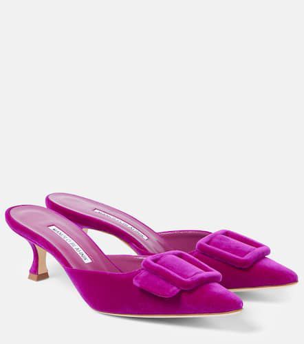 Mules Maysale 50 en velours - Manolo Blahnik - Modalova