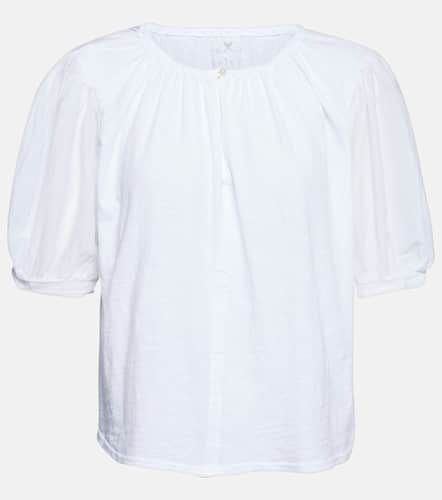 Velvet Top Mallory en coton - Velvet - Modalova