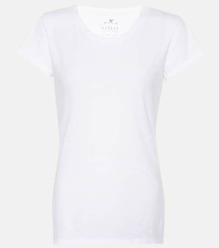 Velvet T-shirt en coton Odelia - Velvet - Modalova