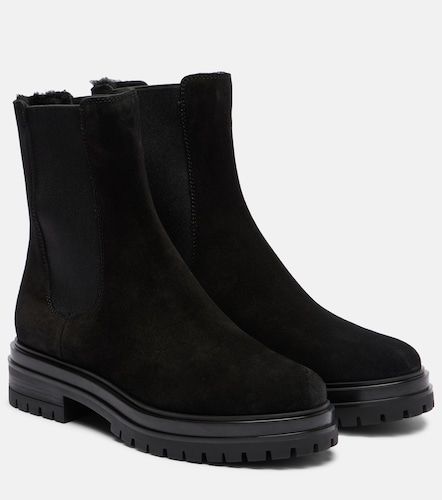Bottines Chelsea Chester en daim - Gianvito Rossi - Modalova