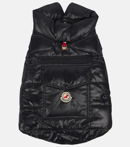 Manteau pour chien Poldo Dog Couture - Moncler - Modalova