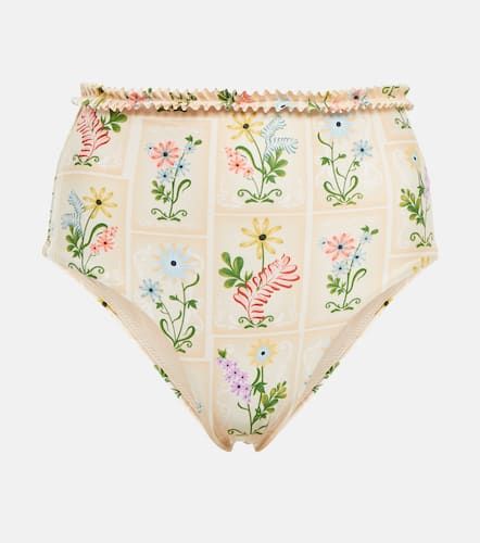 Culotte de bikini Nopal Pradera - Agua by Agua Bendita - Modalova