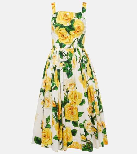 Robe midi en coton à fleurs - Dolce&Gabbana - Modalova