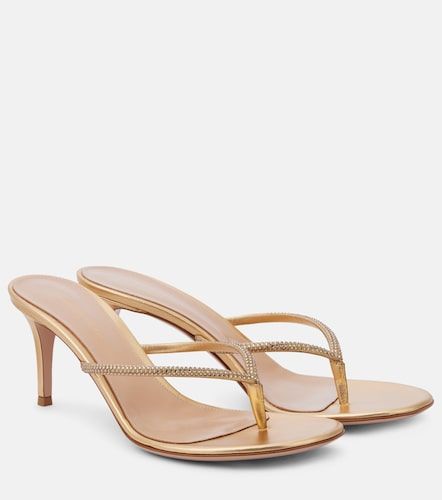 Tongs India 70 en cuir - Gianvito Rossi - Modalova