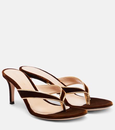 Mules Calypso 70 en velours - Gianvito Rossi - Modalova