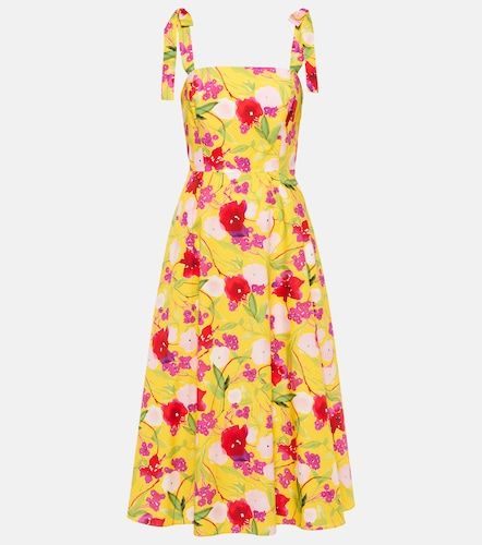 Robe midi en coton floral - Carolina Herrera - Modalova