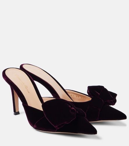 Mules 85 en velours à nœud - Gianvito Rossi - Modalova